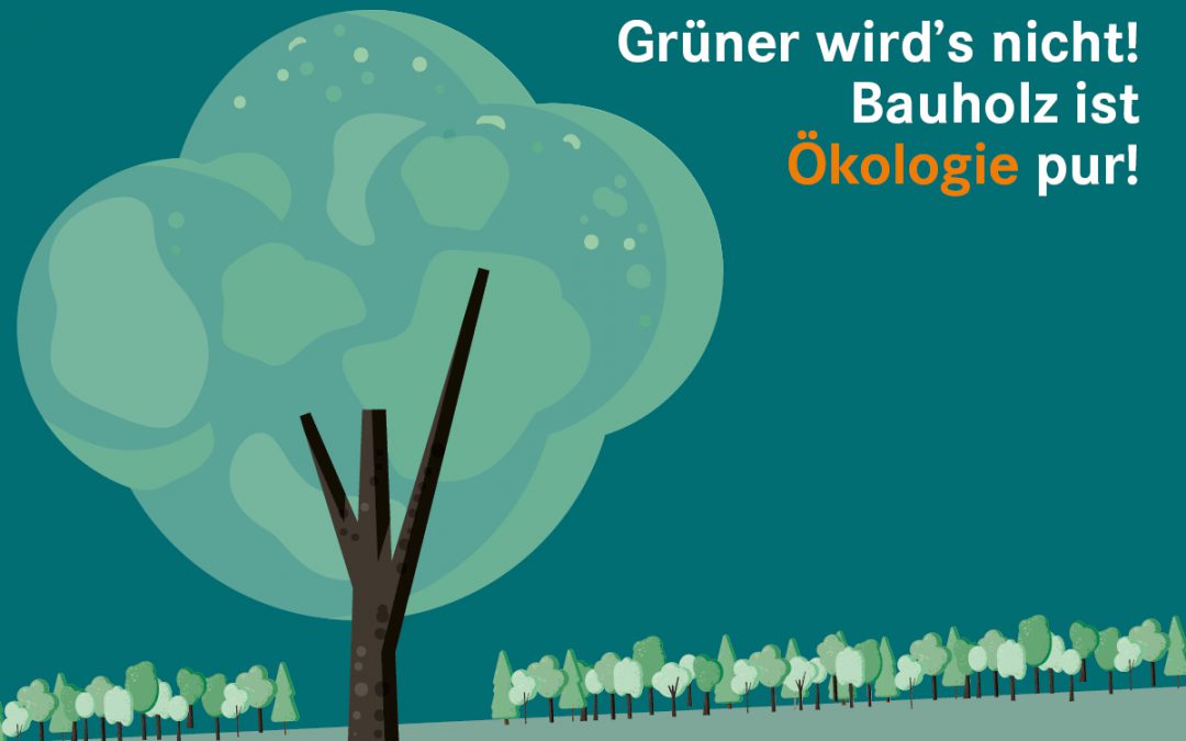 Bauökologie im Einklang (1)