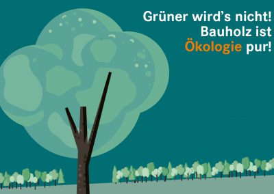 Bauökologie im Einklang (1)