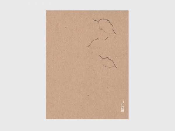 Ökoline | Mappe